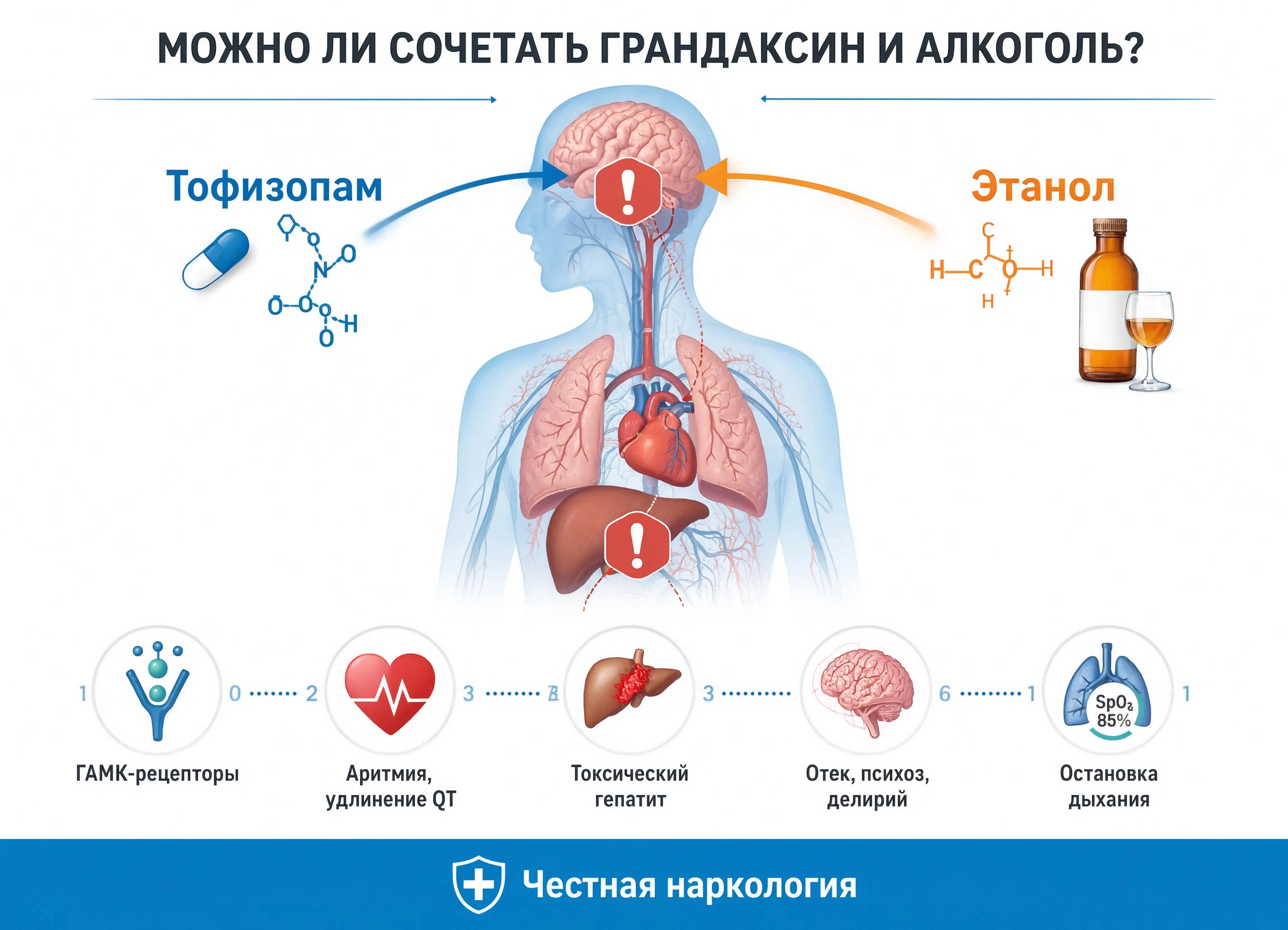 Инфографика показывает почему нельзя принимать грандаксин и пить алкоголь одновременно