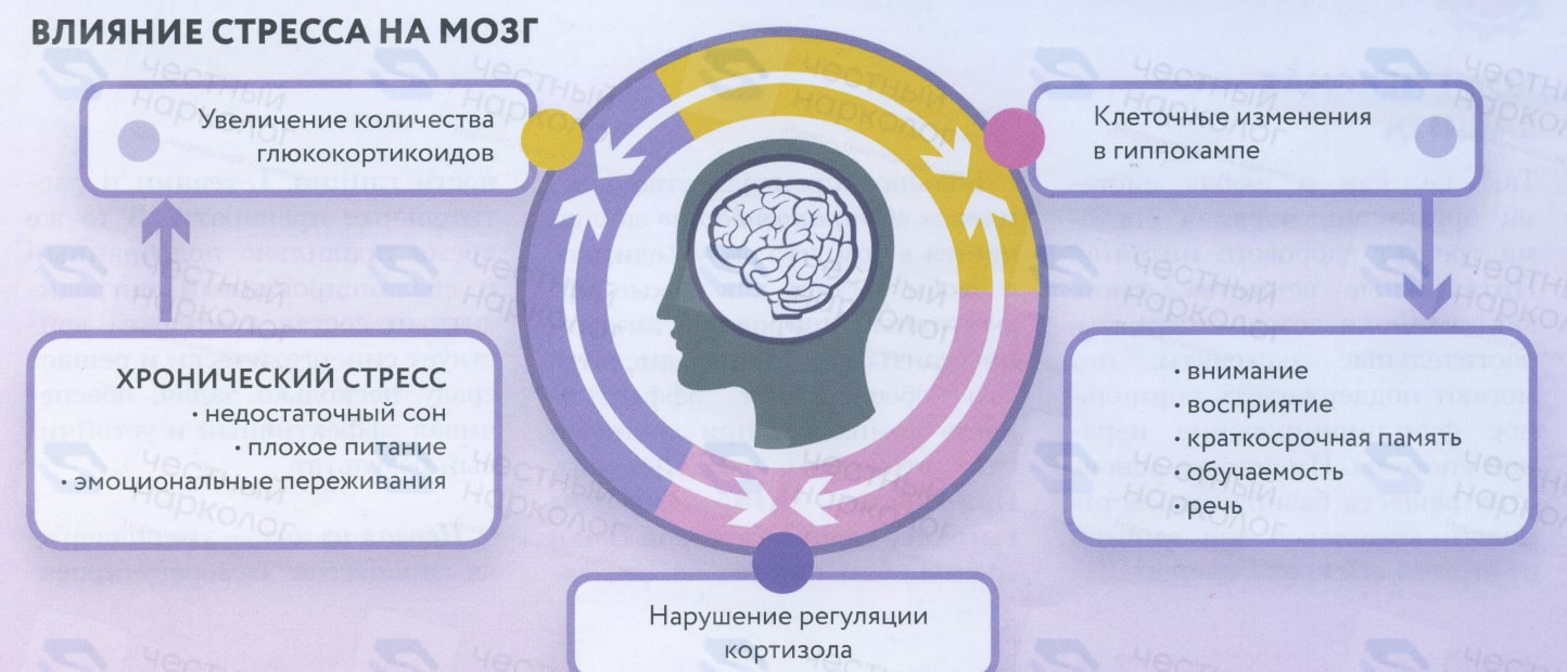 Инфографика хронический стресс